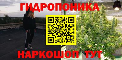 ГАЛЛЮЦИНОГЕННЫЕ ГРИБЫ Нальчик