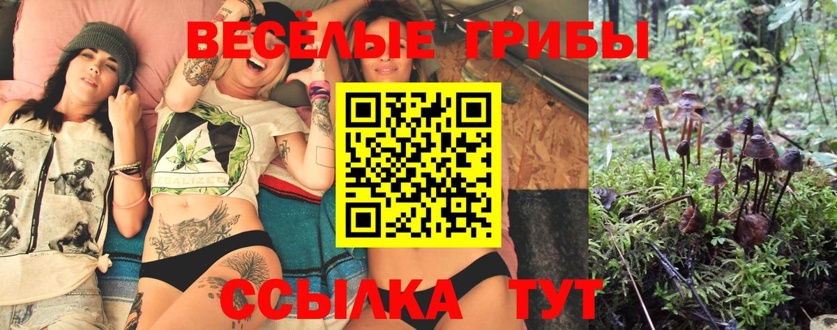 Псилоцибиновые грибы GOLDEN TEACHER Соликамск