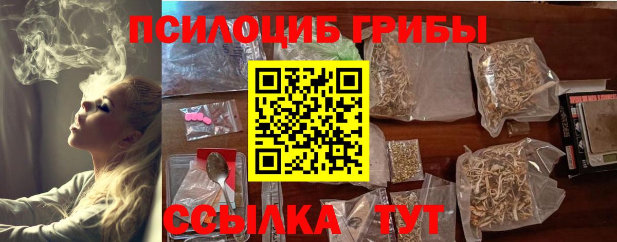 Соликамск  Галлюциногенные грибы Psilocybine cubensis  Вход с VPN  Галлюциногенные грибы Psilocybine cubensis 